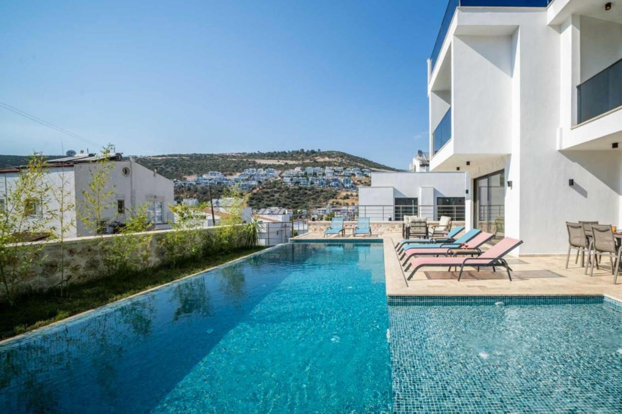 Onat Kalkan